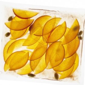 Bolsas de Vacío (200pz)