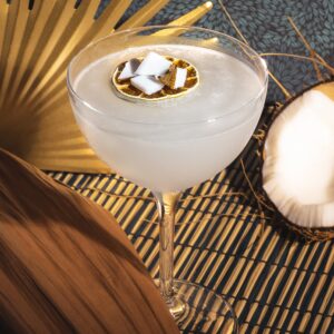 Martini 24cl (paq. 6pz) Copa Martini Doble